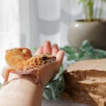 Hai appena adottato un geco leopardino? Le 5 cose da sapere subito
